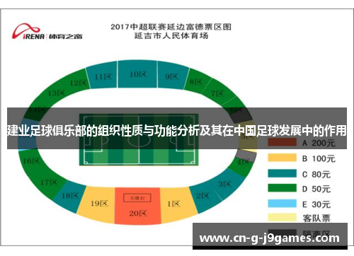 建业足球俱乐部的组织性质与功能分析及其在中国足球发展中的作用