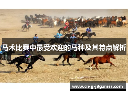 马术比赛中最受欢迎的马种及其特点解析 马术比赛中最受欢迎的马种及其特点解析