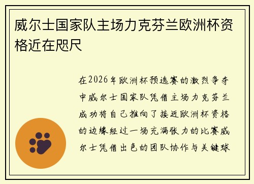 威尔士国家队主场力克芬兰欧洲杯资格近在咫尺